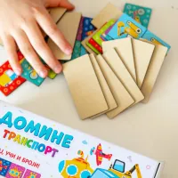 Domine Transport 